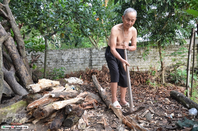 Mơ thấy bổ củi - Chiêm bao thấy bổ củi đánh số mấy?